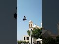 San Salvador,  El Salvador C.A. (Centro Histórico)