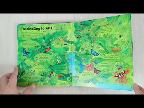 Usborne Look Inside Our World - YouTube