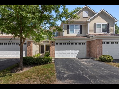 433 Acushnet Street, Elgin, IL home video tour
