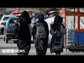 Taliban bars female students from returning to universities in Afghanistan - BBC News