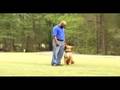 Protection Dog/Obedience Demonstration