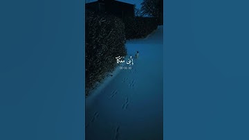 قران  𝑸𝑼𝑹𝑨𝑵 #تلاوه جميلا #اكسبلور #المصحف #راحه نفسيه 💙🎧 #قران quran_alkarim