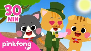 Estaba el Señor Don Gato y más videos para niños | Especial de Gato |  Recopilación | Pinkfong