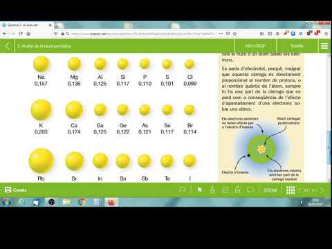 Vídeo: Quants subnivells s'ocupen en europi?