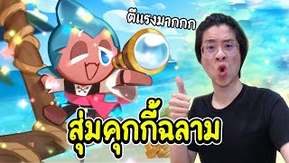 ใจร้าวสุ่มหา คุกกี้ฉลาม !! ตีโคตรแรง ติดเมต้าด้วย !! - Cookie Run: Kingdom