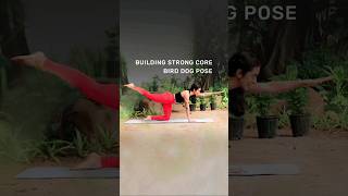 How To Build Core Strength | Bird Dog Pose | #shorts #buildingstrongcore