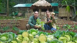 Catching and smoking catfish - Harvesting cabbage and purple sweet potatoes to sell at the market