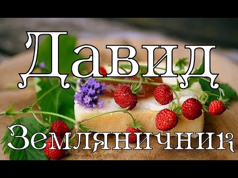 9 июля День Давида Земляничника: что нельзя делать 9 июля 2022 года.Народный календарь.