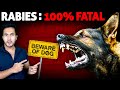 Why is RABIES 100% Fatal? No One Can Survive This Deadly Disease