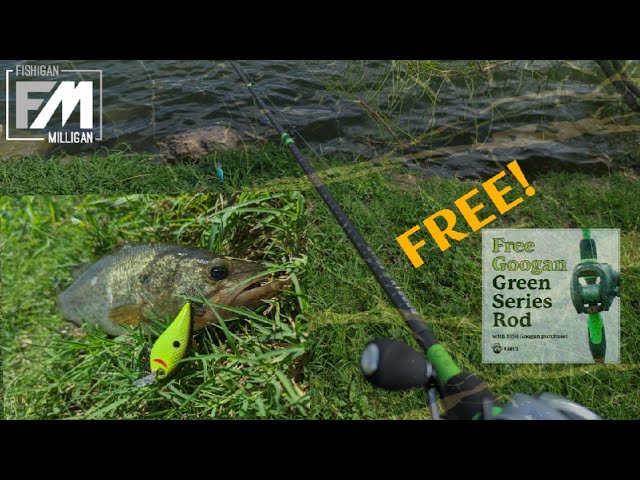 BACK to the BASICS fishing! I never catch fish here but I found the secret  is HOW TO USE CRANKBAITS 