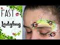 FACE PAINT THIS - Lady Bug