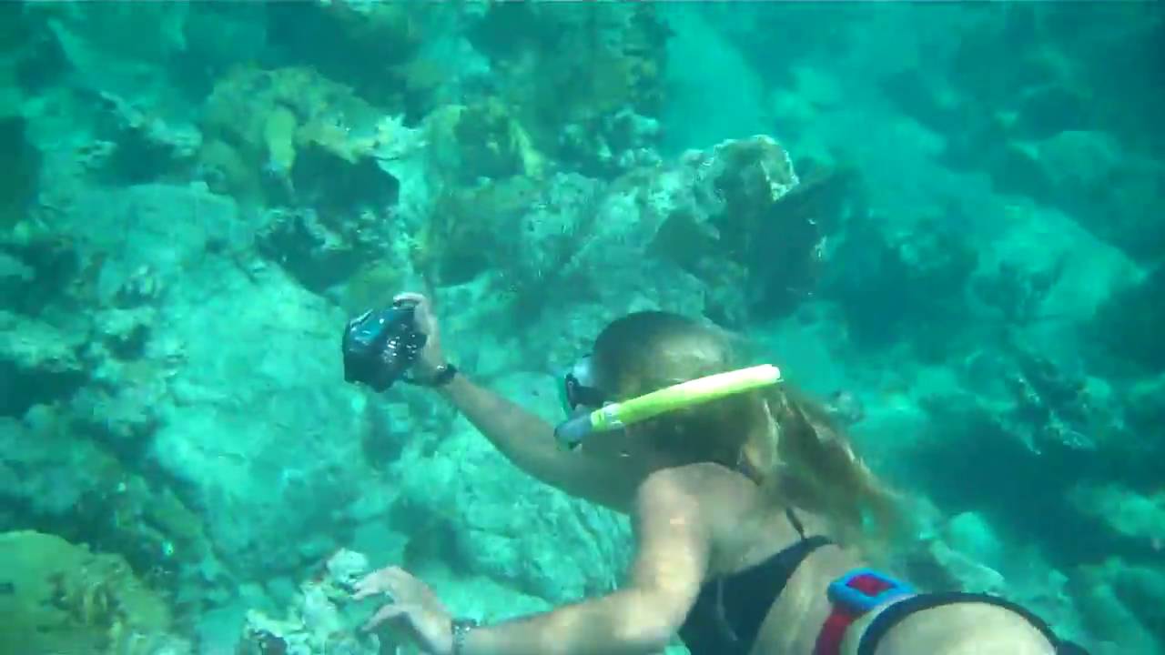 Nina freediving with (yet another!)  turtle