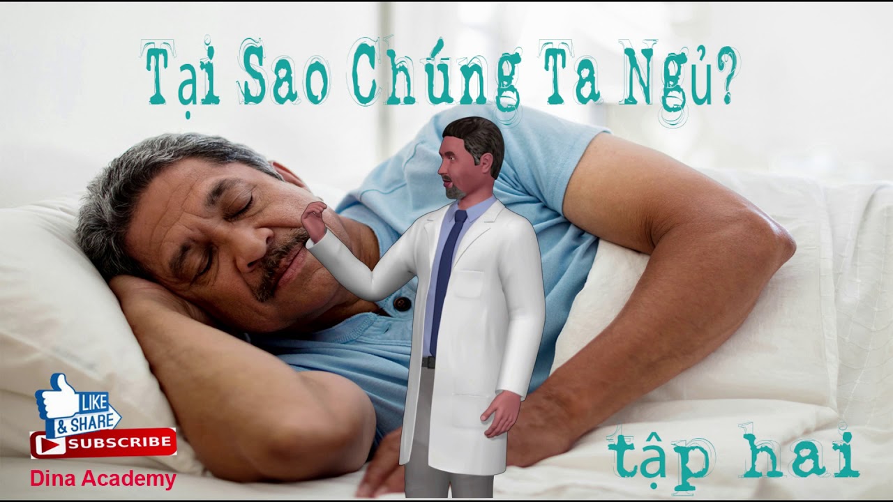 Tại Sao Chúng Ta Ngủ? WHY DO WE SLEEP ? Vietnamese Language YouTube