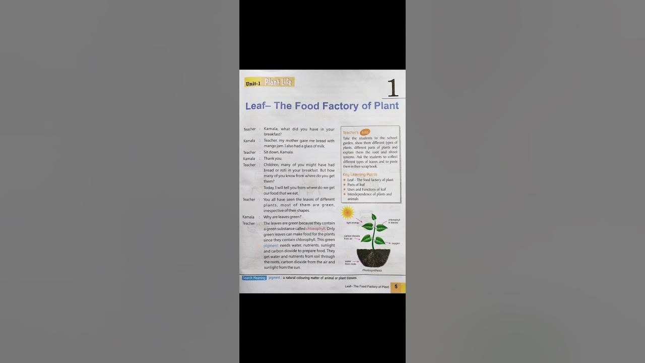 Science Class 4th chapter 1 Leaf The Food Factory Of Plant part 1 science-class-4th-chapter-1-leaf-the-food-factory-of-plant-part-1