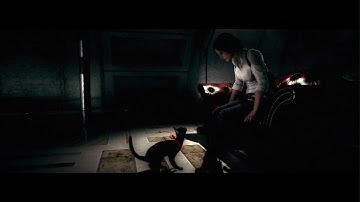 Cats in video games, in The Evil Within