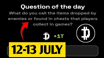 What do you call the items dropped by enemies or found in chests that players collect in games?