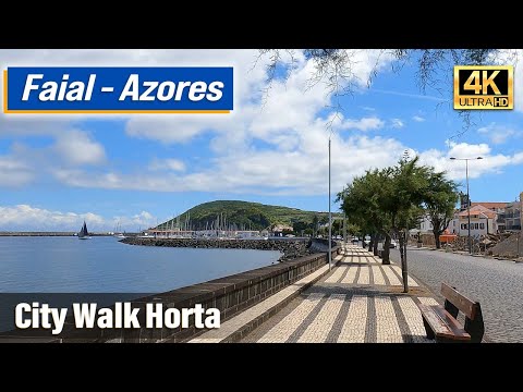 Horta in 5 minutes - Faial, Azores 4K