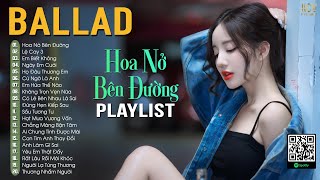 Hoa Nở Bên Đường Ballad - Hay Lâu Lâu Em Quên Gọi Nhầm Tên Anh Đi | Nhạc Trẻ Ballad Hot Hits 2024