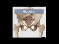 Hip Joint Biomechanics #mbbs#physiotherapy # medical student # hip joint