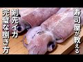 ケンサキイカ(剣先イカ)の捌き方～初心者でもできる刺身の作り方