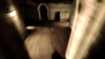 CS:S mp5 ace by flekzz!