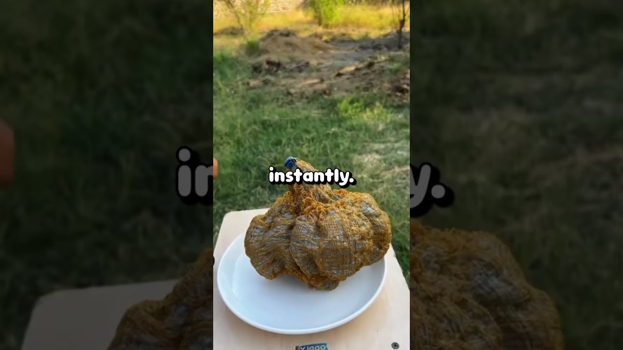 What Made Your Sweet Grandpa Snap In Front Of The Whole Family 