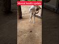 Mental health update 😂 #mentalhealth #trending #viral #youtubeshorts #funny