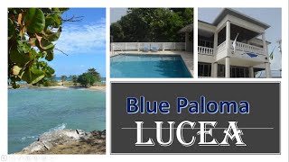 A tour of the Blue Paloma; a Gem in Lucea, Jamaica