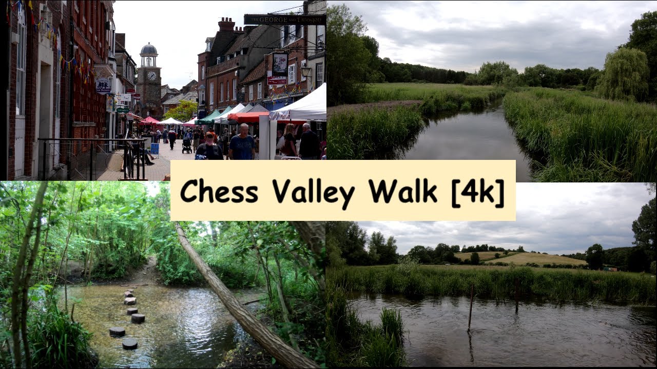 Chess walk