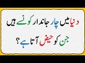 Islamic common sense paheliyan in urduhindi  riddles in hindi  general knowledge quiz test009