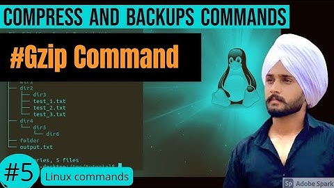 gzip Command In Linux In Hindi | Linux File Backing and Compress | Linux Command | class #5 #linux