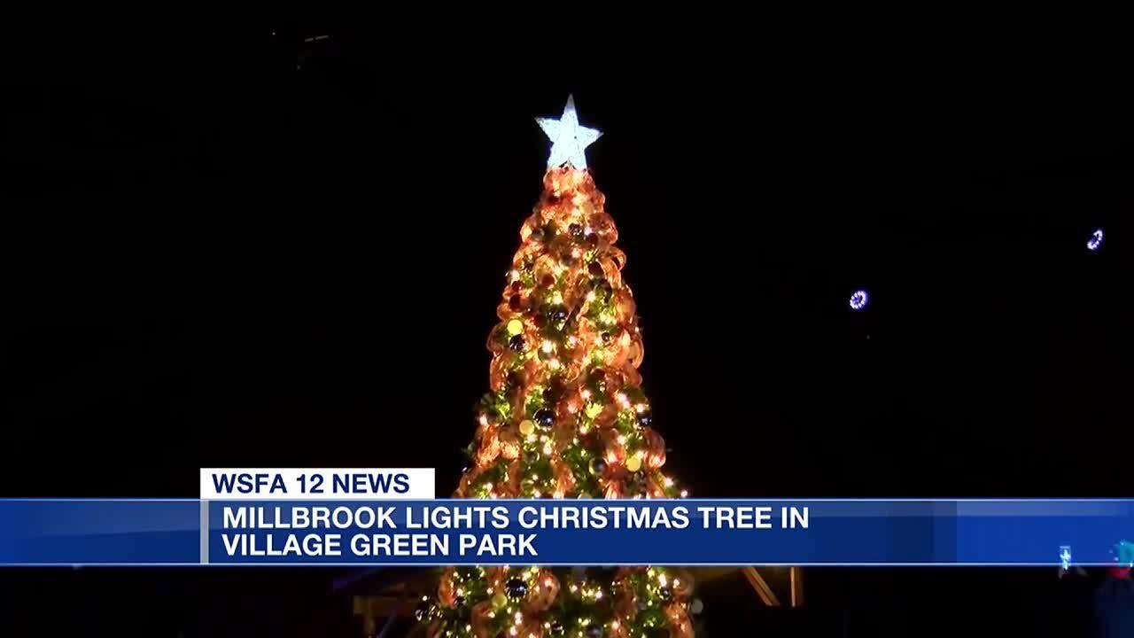Millbrook lights Christmas tree YouTube