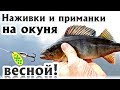 На что лучше клюет окунь весной? Наживки и приманки на окуня весной!? На что ловить окуня весной?