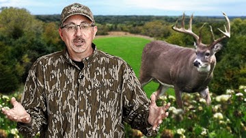 Everything You Need To Know About CLOVER Food Plots | Deer Season 24