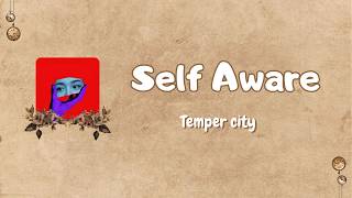 Self Aware - Temper City // Lirik dan Terjemahan