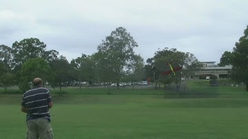 Multiplex Easy Star Maiden and Crash