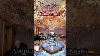 Folia Sergisi