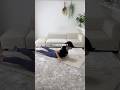 家で出来る「背中筋トレ」ならこれ！#背中痩せ #背中美人 #猫背改善