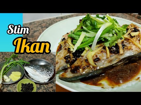 Tim Kepala Ikan Salmon