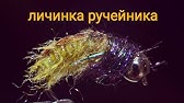 Нахлыст и вязание мушек от Данилыча - Ручейник в домике из отходов ...