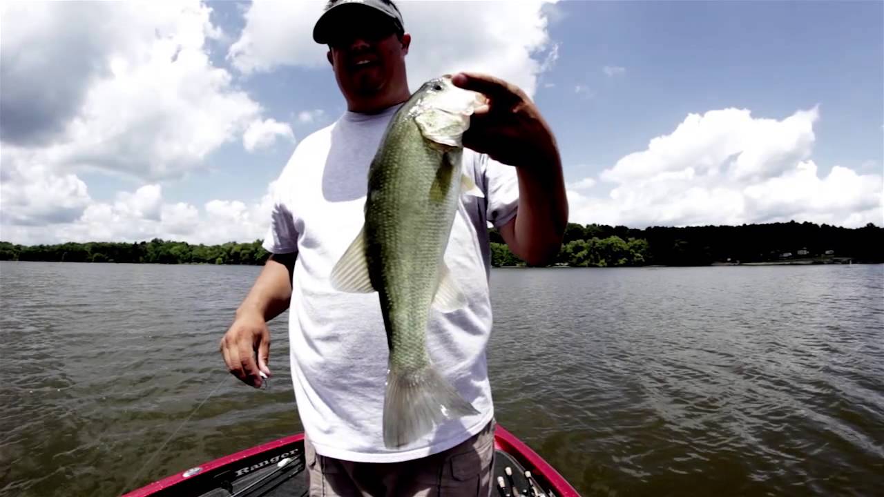 3 Must-Have Topwater Lures for Shallow Summer Bass - Wired2Fish