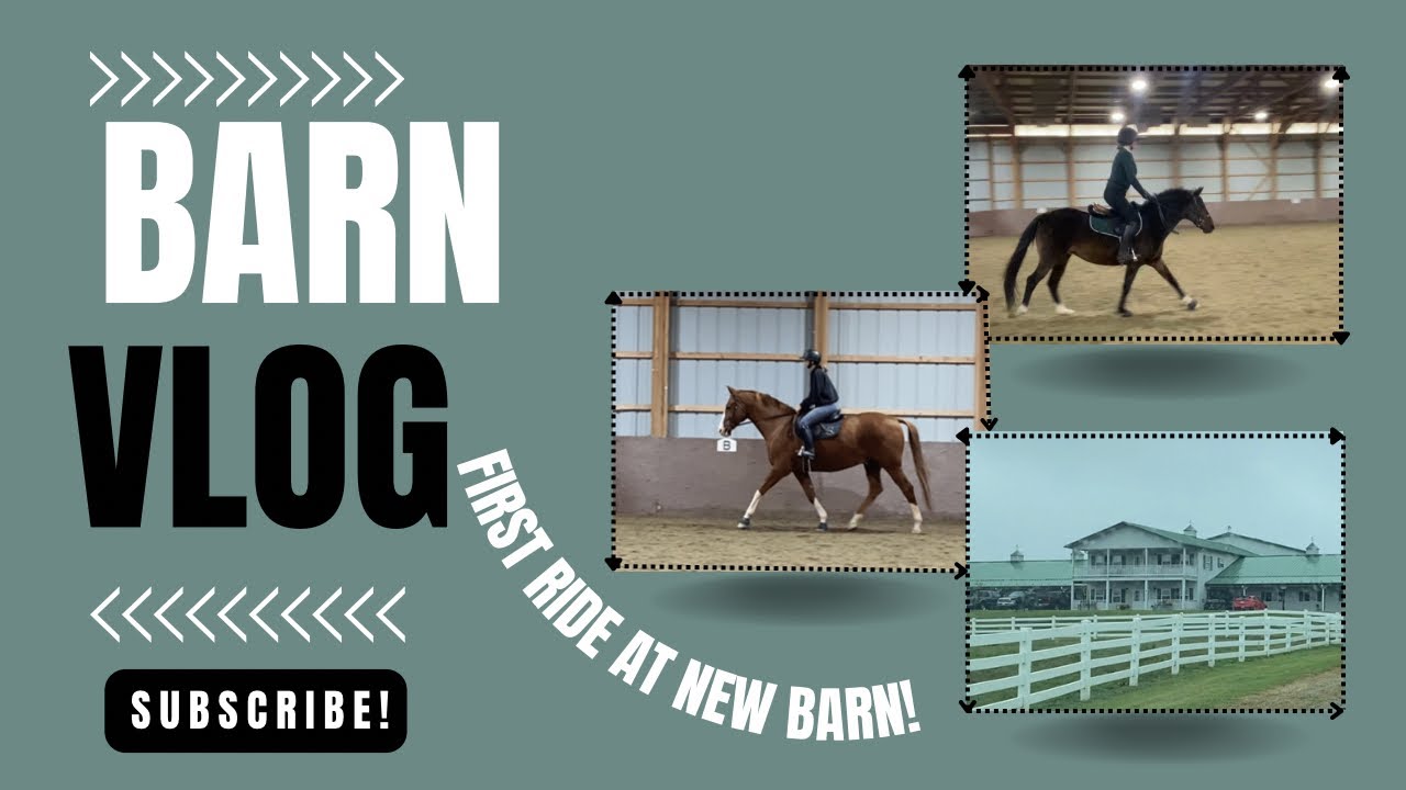 Barn Vlog At New Barn! - YouTube