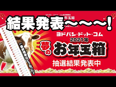 【2021福袋】とうとう運命の時！最終的に何倍になった？【ヨドバシカメラ】