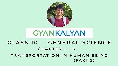 TRANSPORTATION IN HUMAN BEING (PART 2) - CHAPTER 6- CLASS 10 - GENERAL SCIENCE - ANANYA CHETIA