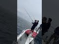 巨大魚のヒットシーンなのだ✨