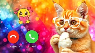 Best Ringtone 2025 | Eat Ice cream Cat Ringtone Effect | Mp3 Ringtone notification