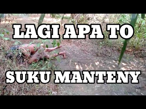 Suku Mante asli wik wik di somak somak