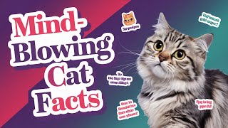 Fascinating Insights into Cat Behavior - Find out!