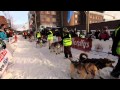 Malamute Quest on Finnmark sled dog race #4 - Race start