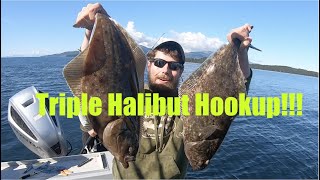 A Rare Halibut Triple Hookup! Halibut Fishing - Juneau, Alaska! AUGUST 2020